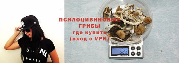 прущие крисы Баксан