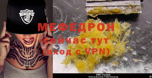 шишки Надым