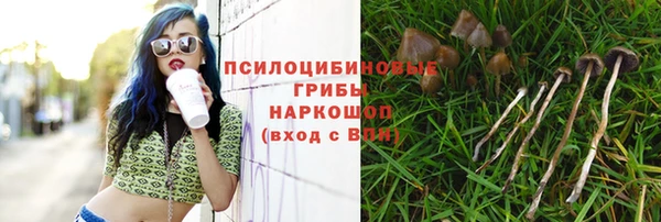 прущие крисы Баксан