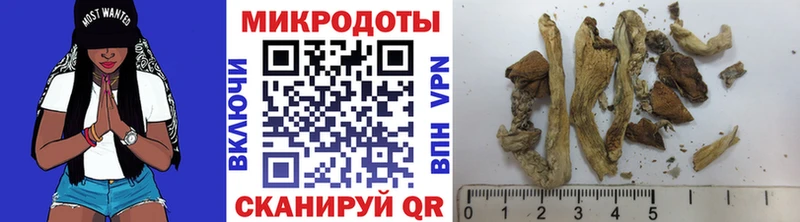 Галлюциногенные грибы ЛСД  Старая Русса 